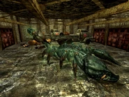 Interior de la estación de bomberos