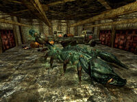 Searchlight FS interior.jpg (554 KB) Fire station's interior. Note the two dead legionaires behind the radscorpion queen