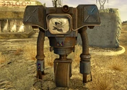 Victor em Boulder City