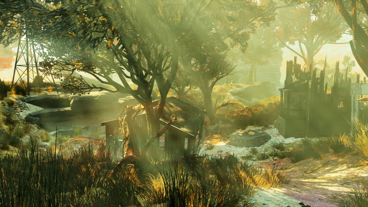 Wild Appalachia
