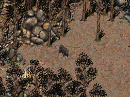 FO2 Smoke in the forest