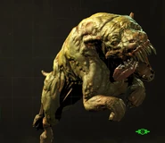 FO4 mutant hound.png (791 KB) Mutogar na ekranie ładowania