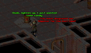 Badger, moments before death