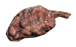 FO76 Bloodbug steak