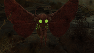 FO76 creature mothman Reconnoiter 06