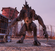 FO76 ready for fight Deathclaw