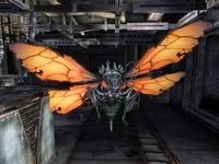 Specimen 73.jpg (302 KB) Z-14胃蛋白酶DNA剪接实验室的73号样本