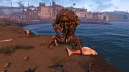 Fo4 creature Mirelurk queen portrait Revere Beach station