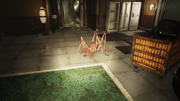 Scorched Cave Cricket.png
