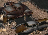 On this kid in Trapper Town