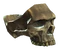 Capless skull