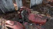 FO76WL Dueling Farms (Sandra).jpg (1,34 МБ) Скелет Сандры около Сарая