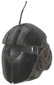 FO76WL Polly's head.png