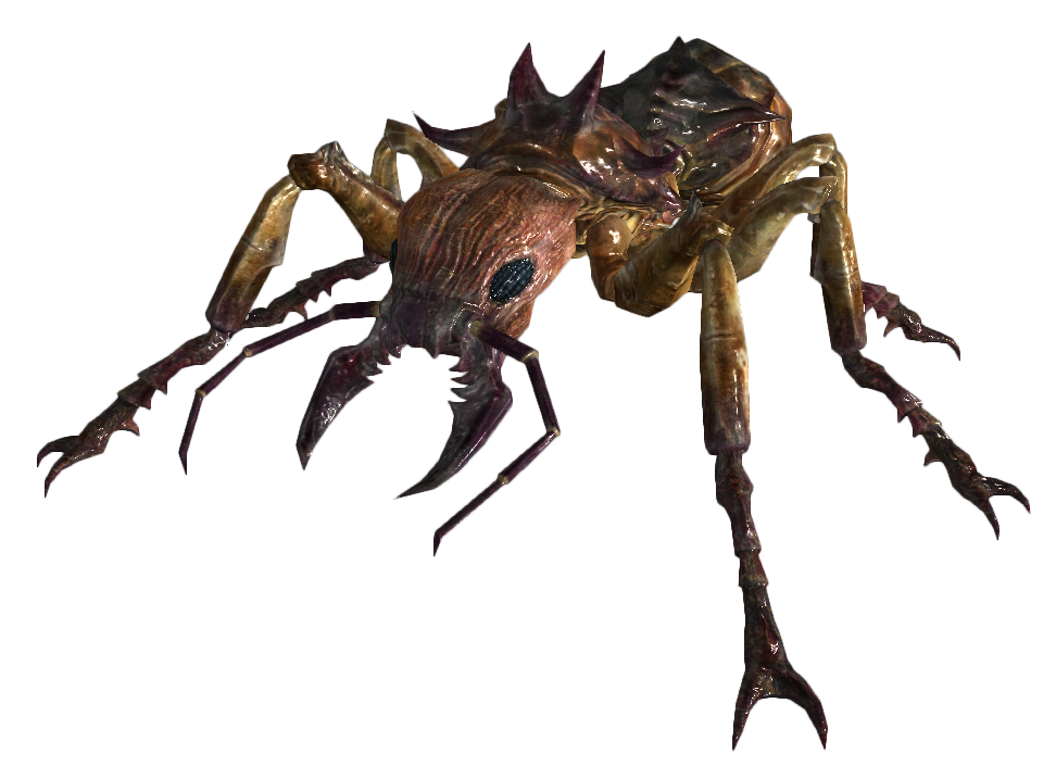 giant-ant-fallout-new-vegas-fallout-wiki-fandom