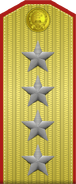 Real Type 55 dà jiàng shoulder boards