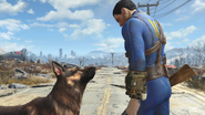 The male Sole Survivor meets Dogmeat