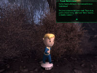 SM Bubblehead Endurance.jpg (442 KB) Wackelpuppe Ausdauer