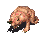 FO2 Pig rat attack.gif