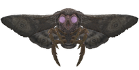 Wise Mothman