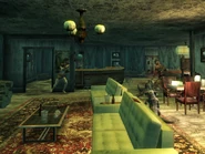 Ein Weißbein und ein Gecko empfangen dich