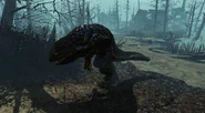 Gulper-Roaming-FarHarbor.jpg (258 KB) Gulper roaming the Island