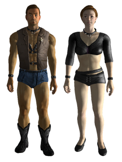 Sexy sleepwear (Fallout: New Vegas), Fallout Wiki