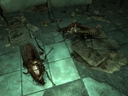 Radroaches BCB.jpg (207 kB) Mutarachas en el edificio Basincreek