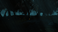 Night time in the Mire