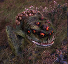 Radtoad.jpg