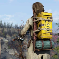 41++ Fallout 76 backpack skins