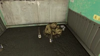 FO4 Teddy Beantown Brewery.png (1.17 MB) Teddy bears having fun