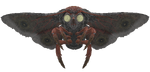 FO76 creature mothman 02.webp