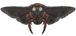 FO76 creature mothman 02