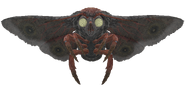 FO76 creature mothman 02