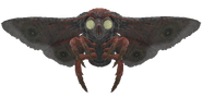 Mothman hatchling