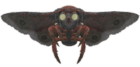 Mothman hatchling