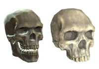 Plastic (upper) skull