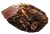Deathclaw steak