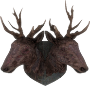 Mounted radstag head