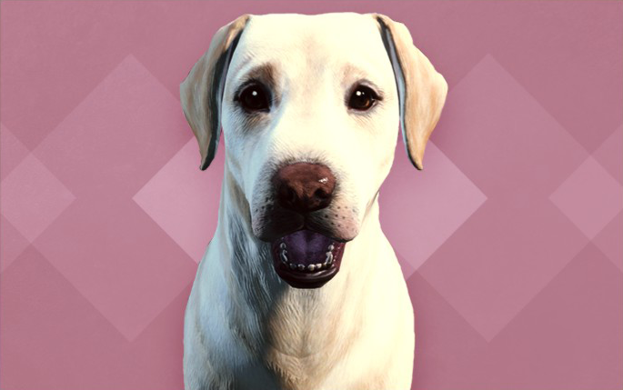 fallout 4 pitbull mod