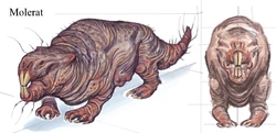 Mole Rat Fallout 3 Fallout Wiki Fandom