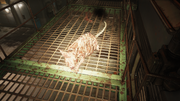 Scorched Radrat.png