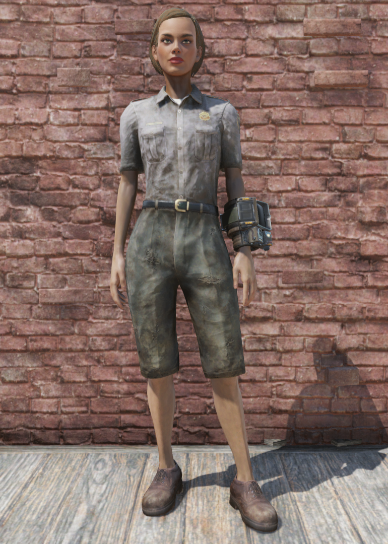 Ranger outfit (Fallout 76) .