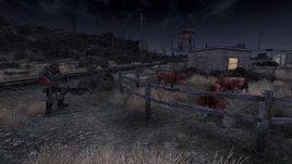 Midnight Ranch Attacks