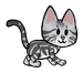 American Shorthair