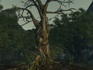 Harold und Bob im Jahr 2277