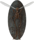 FO4-Mounted-bloodbug.png