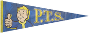 Vault Boy PTS pennant