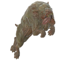 FO76 creature fevhound.png