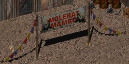 Molerat Mambo sign